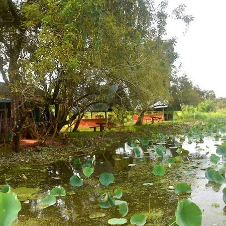 Meegahapokuna Resort Anuradhapura Exteriör bild