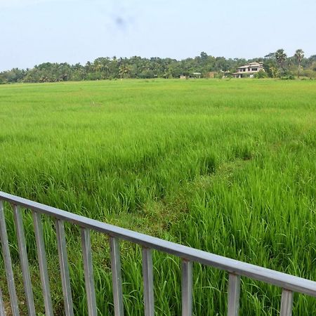 Meegahapokuna Resort Anuradhapura Exteriör bild