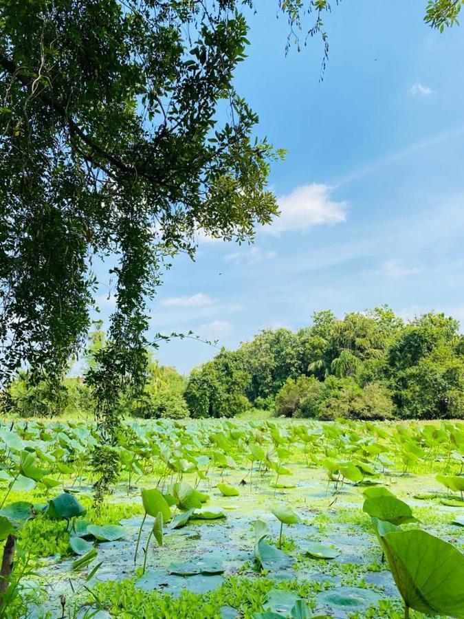 Meegahapokuna Resort Anuradhapura Exteriör bild