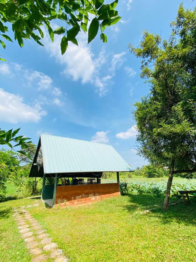 Meegahapokuna Resort Anuradhapura Exteriör bild