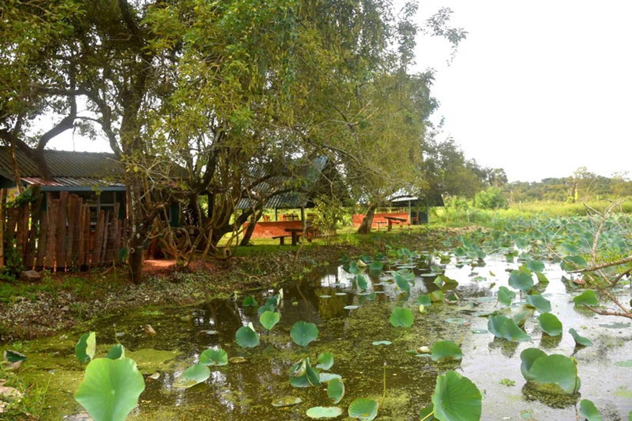 Meegahapokuna Resort Anuradhapura Exteriör bild