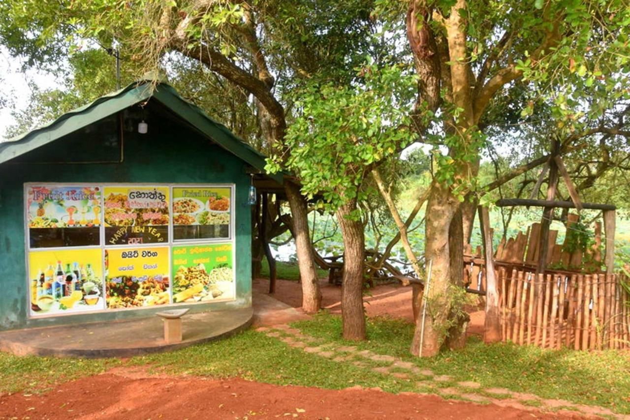 Meegahapokuna Resort Anuradhapura Exteriör bild