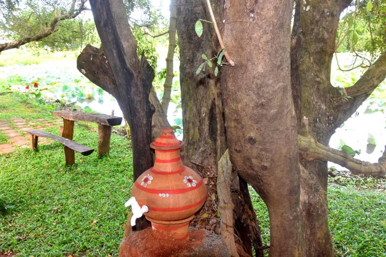 Meegahapokuna Resort Anuradhapura Exteriör bild