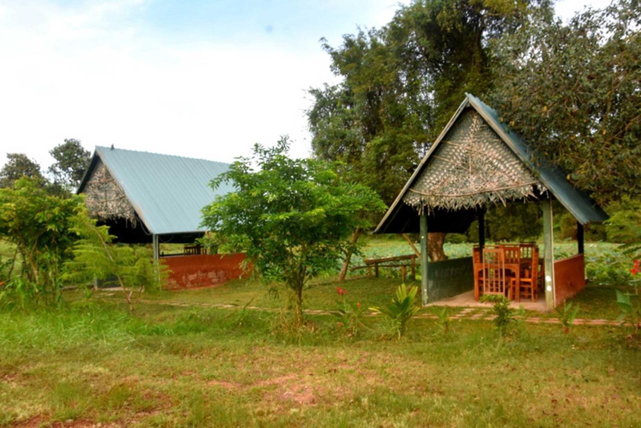 Meegahapokuna Resort Anuradhapura Exteriör bild