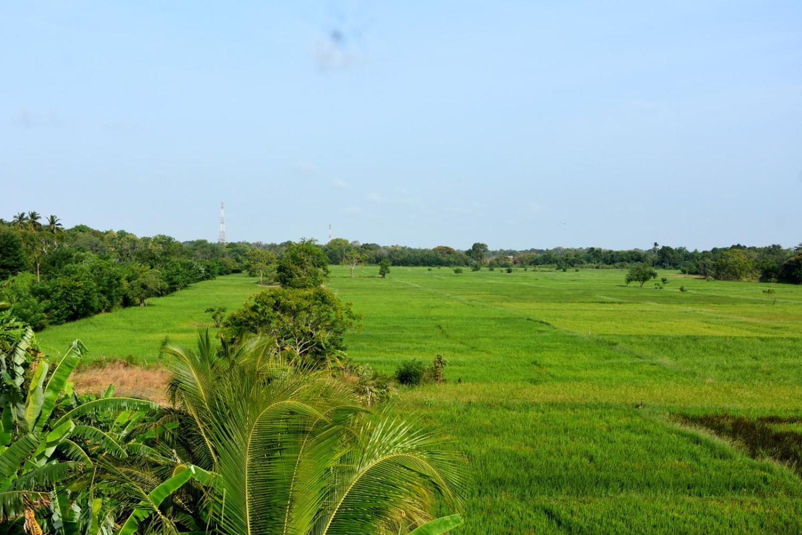 Meegahapokuna Resort Anuradhapura Exteriör bild