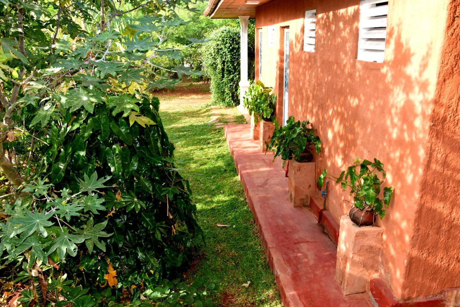 Meegahapokuna Resort Anuradhapura Exteriör bild