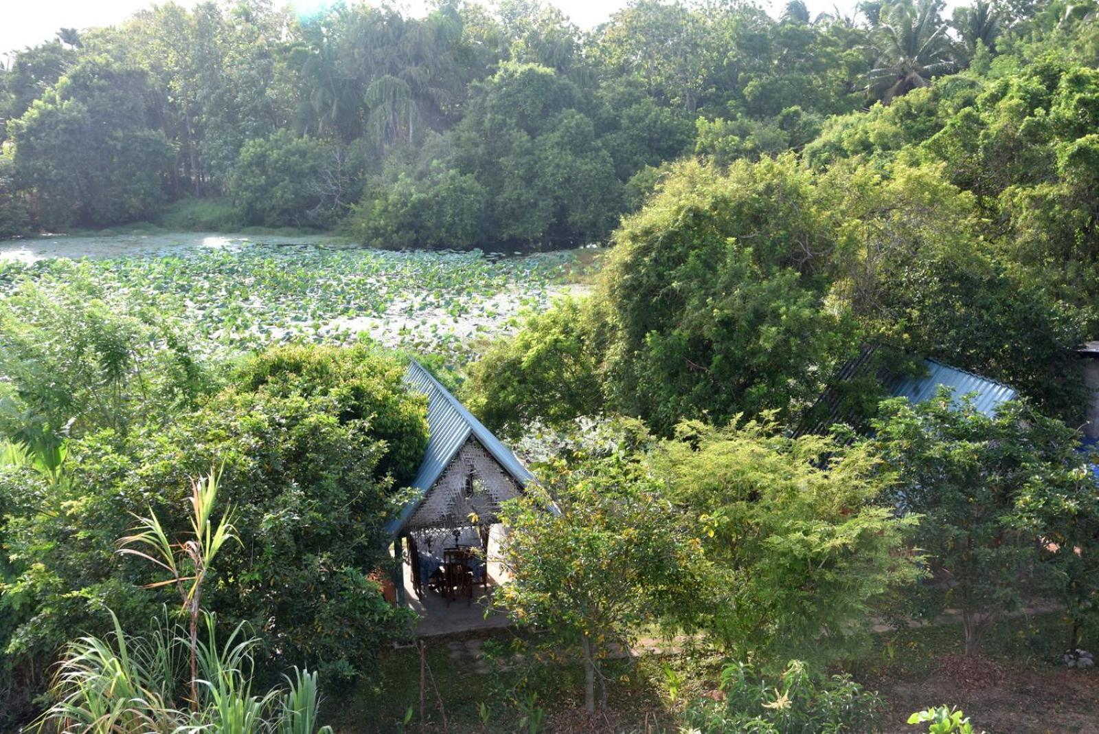 Meegahapokuna Resort Anuradhapura Exteriör bild