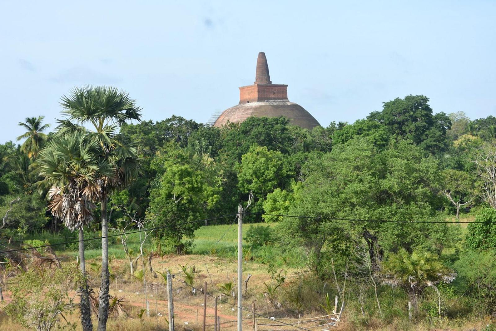 Meegahapokuna Resort Anuradhapura Exteriör bild