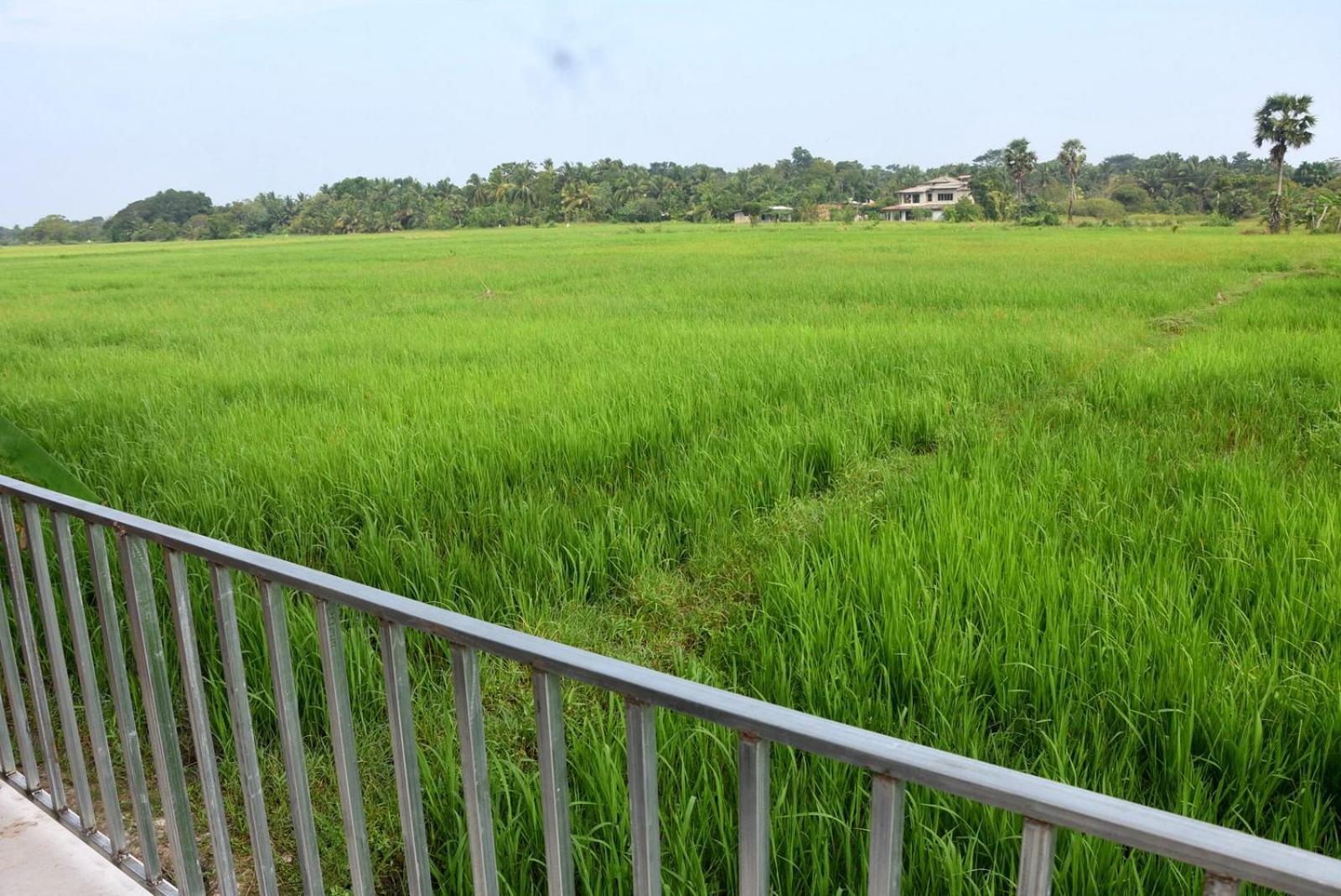 Meegahapokuna Resort Anuradhapura Exteriör bild