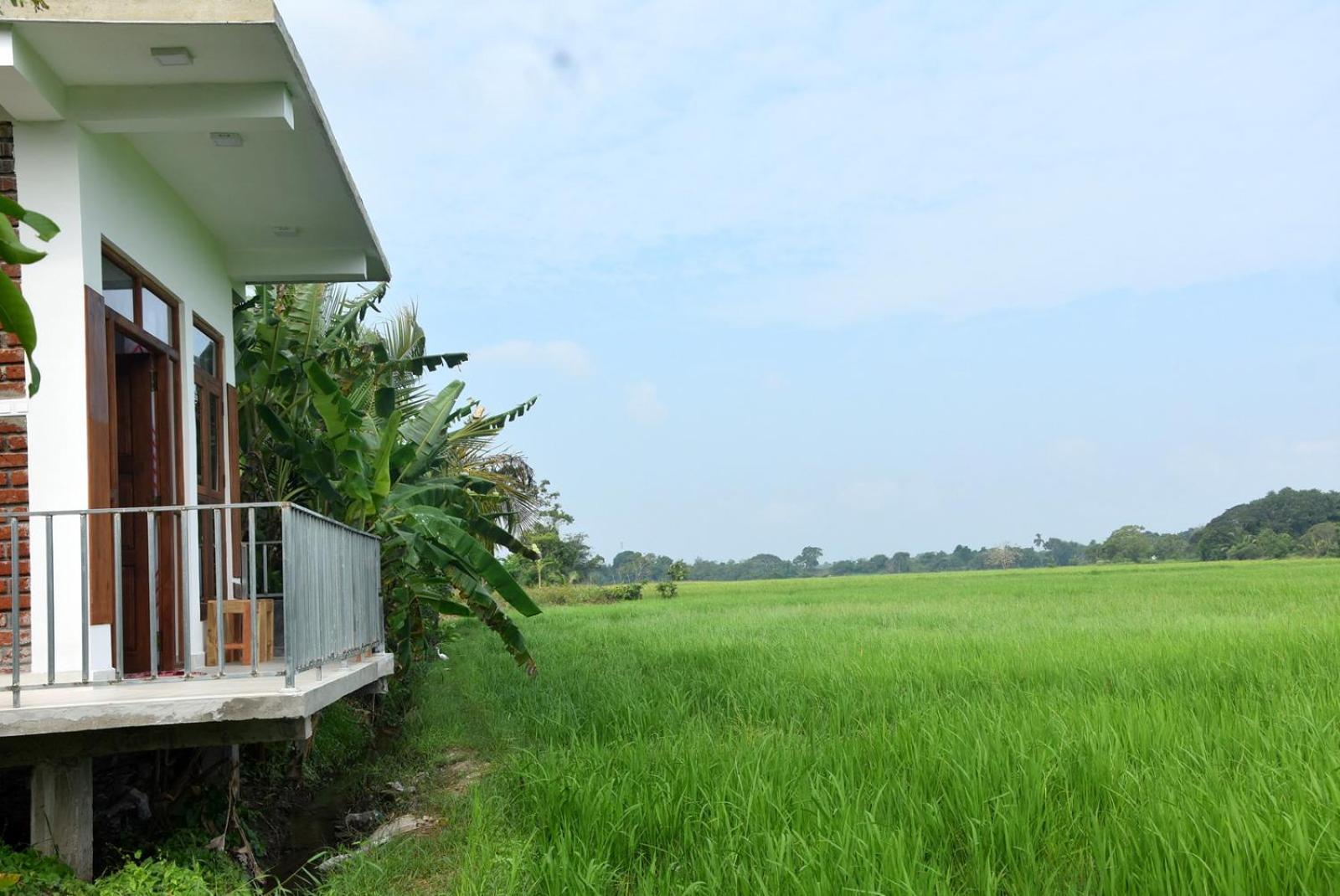Meegahapokuna Resort Anuradhapura Exteriör bild